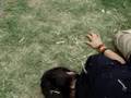 peleas versiones lentas y normales