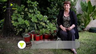 Anita Martelli: "Tuve acceso a todo lo que  pedí y los concejales no me acompañaron."