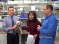 Compounding Medication For Your Pets: Pancreatitis - Jersey Shore Pharmacy