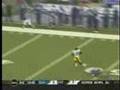 Pittsburgh Steelers Gone Wild