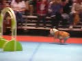 cvt_P1030241.avi