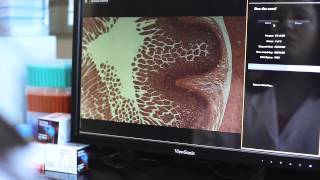 EVOS FL Auto Video Demo