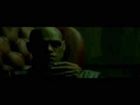 red pill and blue pill red pill and blue pill