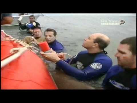 животное дюгони