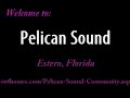 Pelican Sound Golf and Country Club Estero Florida Real Esta