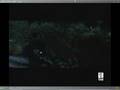  - MovieZen Video