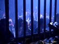 Coliseum almudevar djdanitek llego la hora