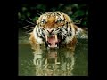 Thulsa decides on his Channel Pic I