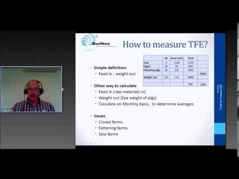 how to measure efficiency