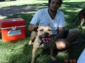 Lord kennel Rosario.!