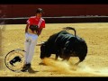 homenaje al tavi