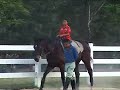 Perlis Equine K001