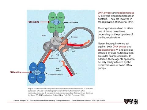 how to treat xdr tb