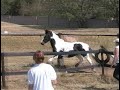 Zerro Free Jumping Part 2