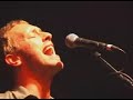 coldplay in my place live @ fair trade concert
