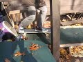 Tony Big Air