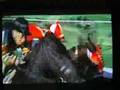 Seabiscuit VS War Admiral