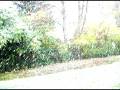 videos de Il neige!