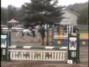 Finale Provinciale.wmv
