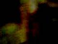 videos de seeping beibii