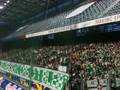 Red Bull Salzburg vs.Rapid Wien 5.10.08 1:0
