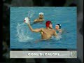 la moviola di m zampini su perugia juventus
