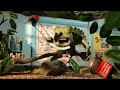 Creature Discomforts: TV Ad 07 - Education