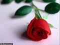Soudtrack Noor