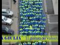 Giornata del Volontariato di Protezione Civile 2008