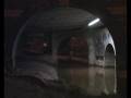 Into The Dark