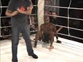 Marcio Gracinha Vs Rog�rio Jacar�