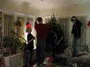 Christmas tree time lapse
