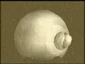 my silent movie