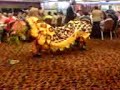 麒麟動画