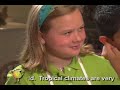 Introduction to Mangos