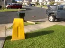 Zoe and Mom Remote Controlled Car