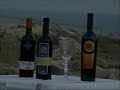 vini-rizzuto-in-sicilia-azienda-agricola-rizzutoguccione.html
