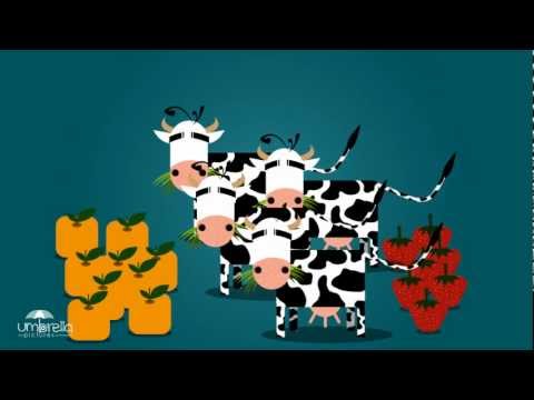 الدستور | حقوق الفلاحين
