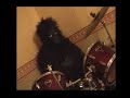 Homemade Dairy Milk Gorilla to umbrella Rhiannon