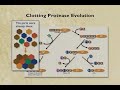 Evolution: Fossils, Genes, and Mousetraps (6-9)