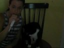 jessetv- a coulpe of my pets