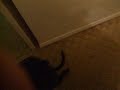 Jet Getting Up
