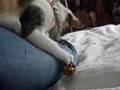 Clip Camille Vertige