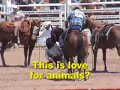 steers-dragged-at-2007-cheyenne-prca-rodeo.html