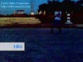cWv_tiRii_nL & JuaanQiitar_cWv