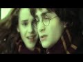 We are - HP