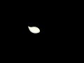 motion- nec 0820172 DGD