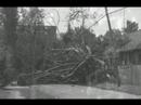David Evans performs Windstorm