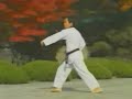 WTF Taekwondo Taegeuk Sam Jang (3rd Poomse) - Fire & Passion