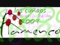 V�deo Popurri flamenco  flamencosalsero07 